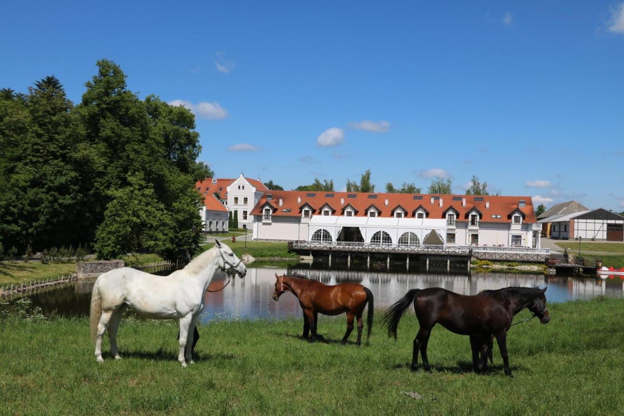 Palac Mortegi Hotel & Spa- Restauracja Szlachecka, Spa, Basen, Sauny, Jazda Konna, Mini Zoo- Luksus, Relaks I Przyroda W Jednym! Lubawa Ngoại thất bức ảnh